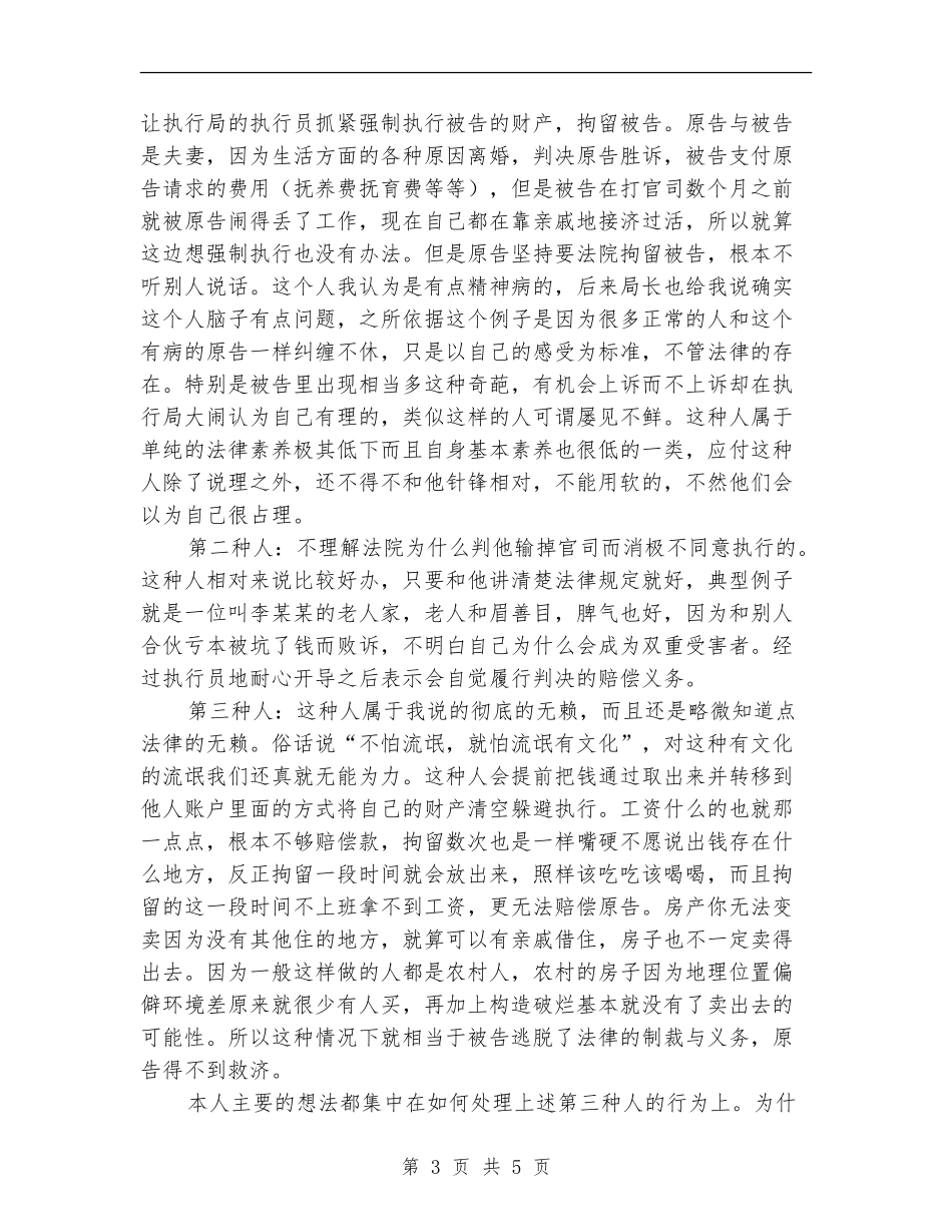 2024年上半年执行局司法见习总结_第3页