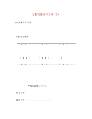 专利实施许可合同（2）