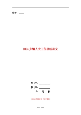2024乡镇人大工作总结范文