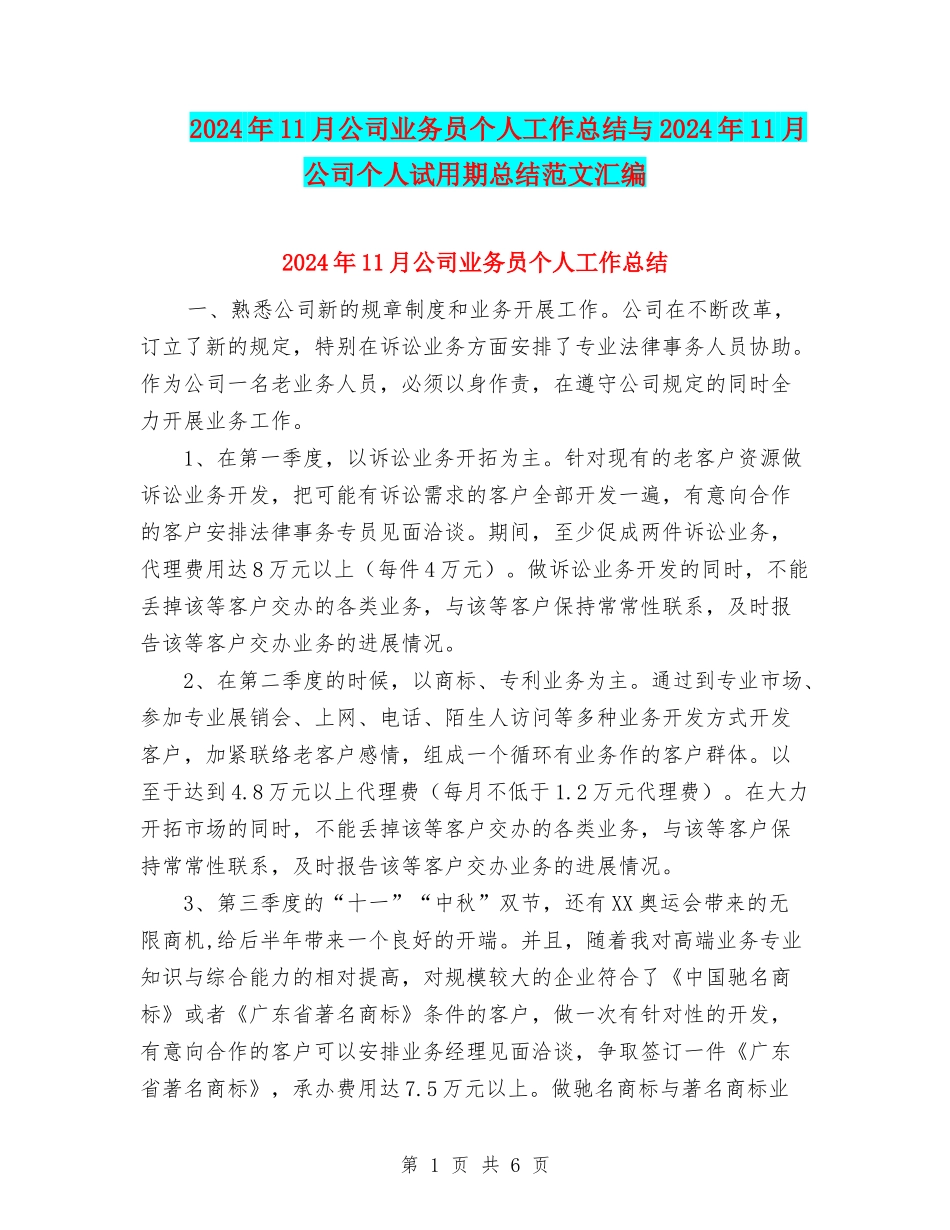 2024年11月公司业务员个人工作总结与2024年11月公司个人试用期总结范文汇编_第1页