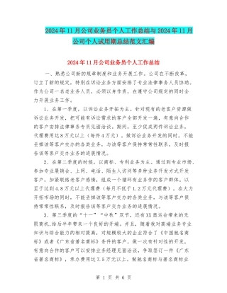 2024年11月公司业务员个人工作总结与2024年11月公司个人试用期总结范文汇编