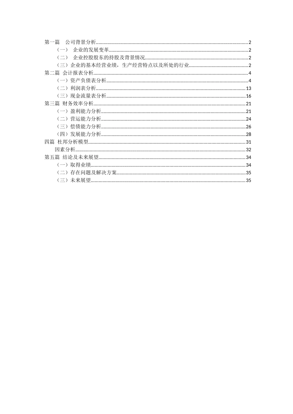 某股份有限公司财务分析_第1页