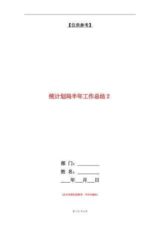 统计划局半年工作总结2