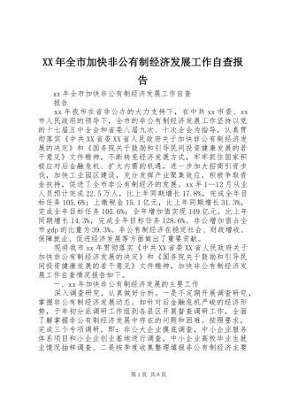 XX年全市加快非公有制经济发展工作自查报告