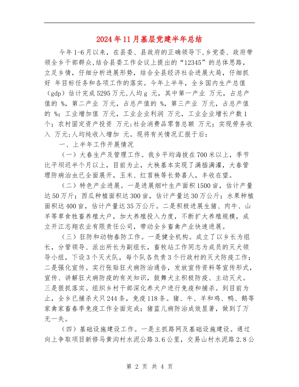 2024年11月基层党建半年总结_第2页