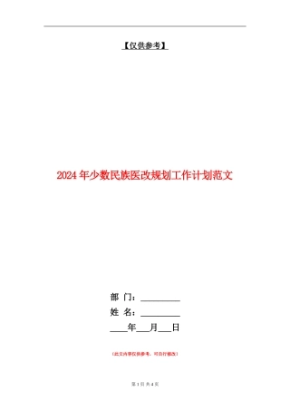 2024年少数民族医改规划工作计划范文