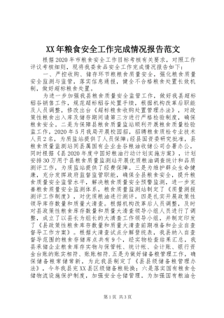 XX年粮食安全工作完成情况报告范文