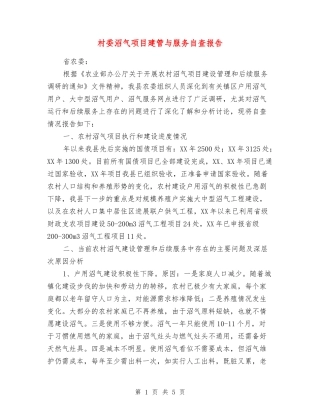 村委沼气项目建管与服务自查报告