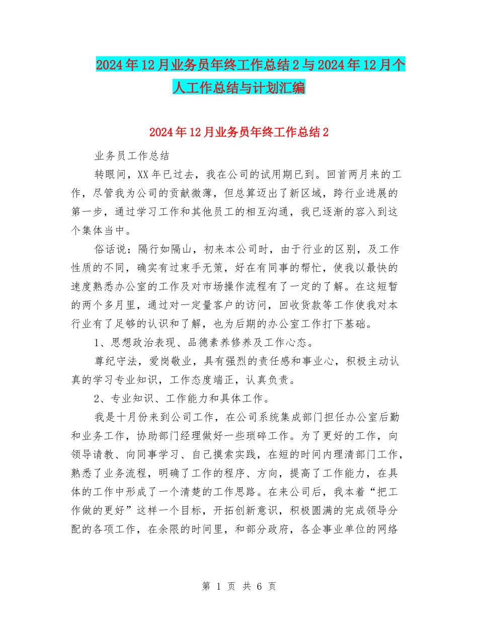 2024年12月业务员年终工作总结2与2024年12月个人工作总结与计划汇编_第1页