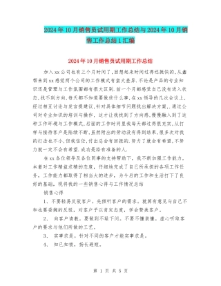 2024年10月销售员试用期工作总结与2024年10月销售工作总结1汇编