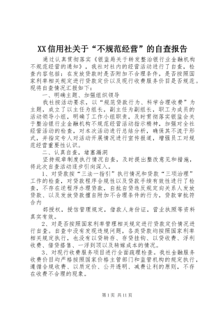 XX信用社关于“不规范经营”的自查报告
