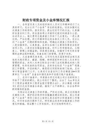 财政专项资金及小金库情况汇报