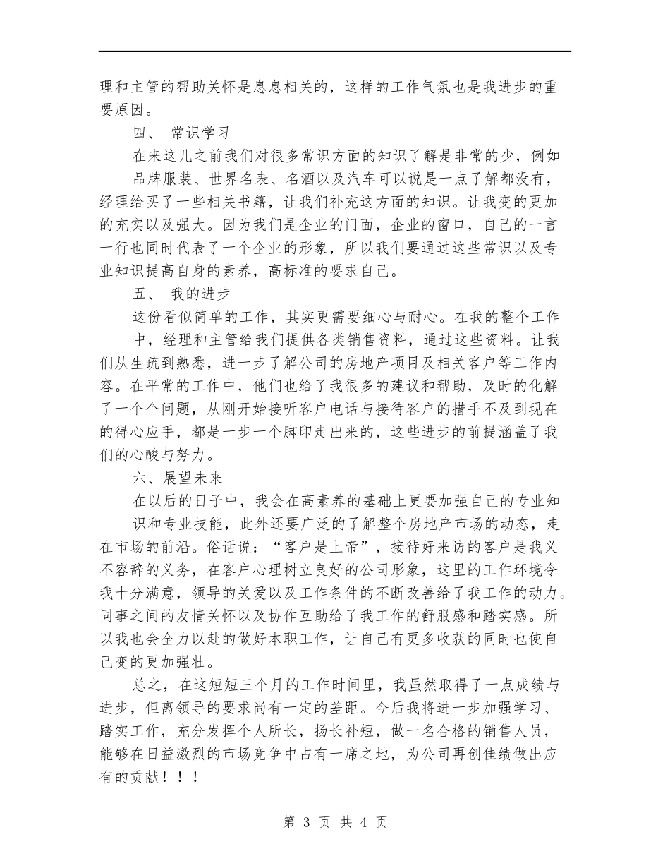 2024年置业顾问年底总结_第3页