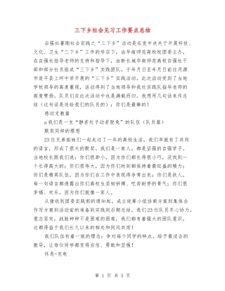三下乡社会见习工作要点总结