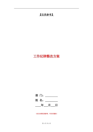 工作纪律整改方案