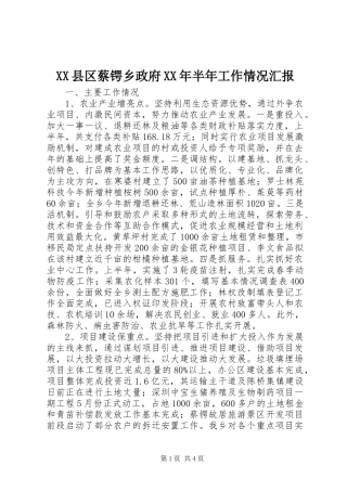 XX县区蔡锷乡政府XX年半年工作情况汇报