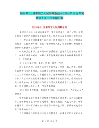 2024年11月车间工人试用期总结与2024年11月车间技术人员工作总结汇编