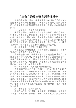 “三公”经费自查自纠情况报告