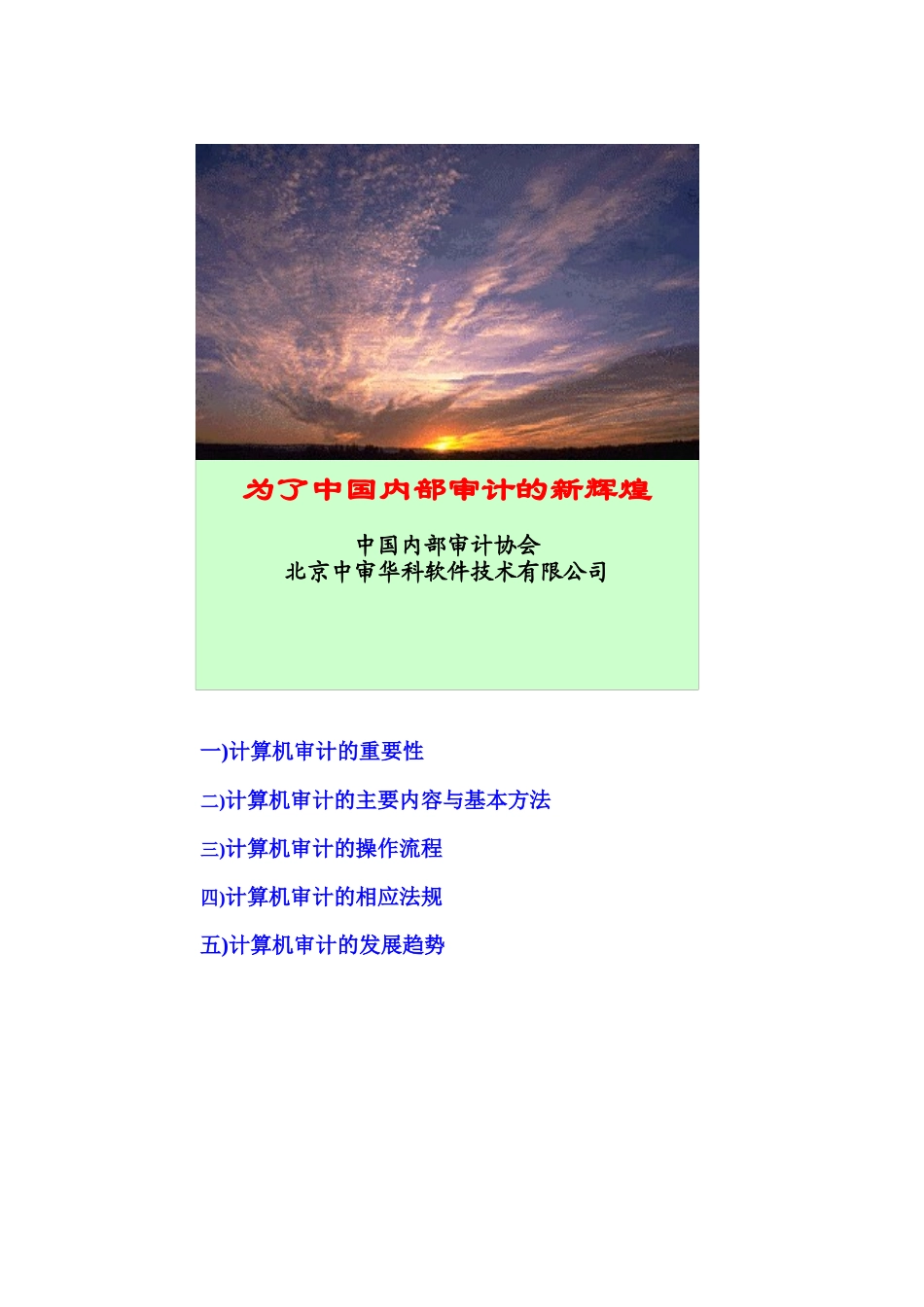 计算机审计基础(组合一)_第2页