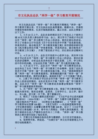 市文化执法总队“两学一做”学习教育开展情况