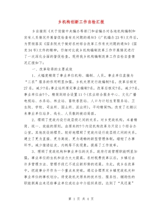 乡机构创新工作自检汇报