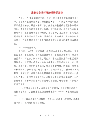 旅游安全及环境治理情况报告