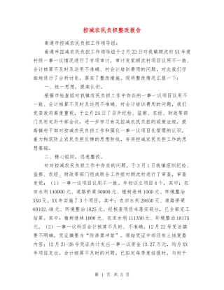 控减农民负担整改报告