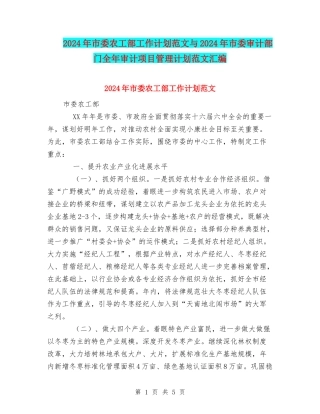2024年市委农工部工作计划范文与2024年市委审计部门全年审计项目管理计划范文汇编.doc