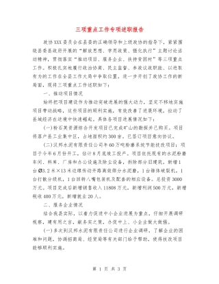 三项重点工作专项述职报告