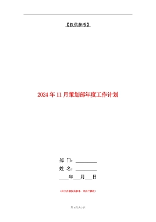 2024年11月策划部年度工作计划