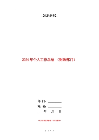 2024年个人工作总结(财政部门)