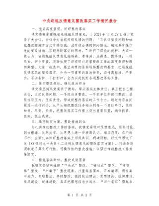 中央巡视反馈意见整改落实工作情况报告