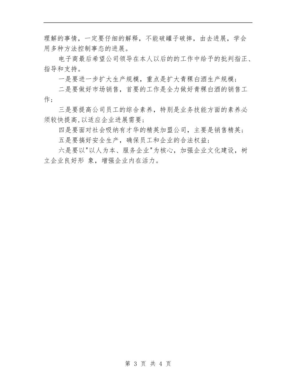 白酒销售工作计划书_第3页