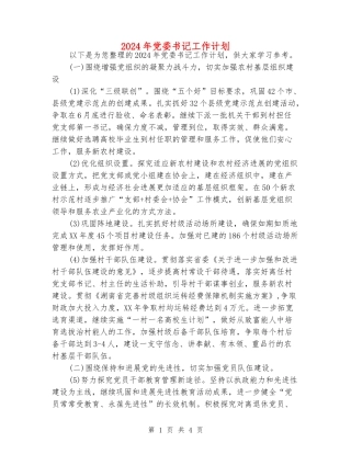 2024年党委书记工作计划