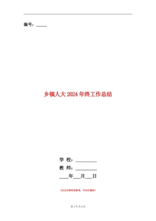 乡镇人大2024年终工作总结【新版】