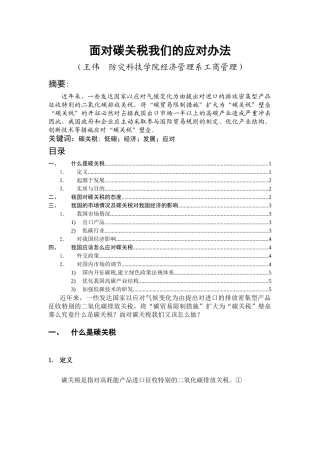 面对碳关税我们的应对办法
