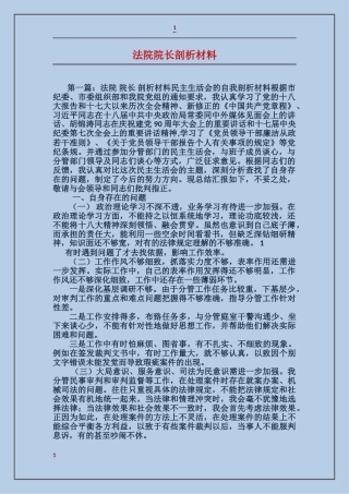 法院院长剖析材料