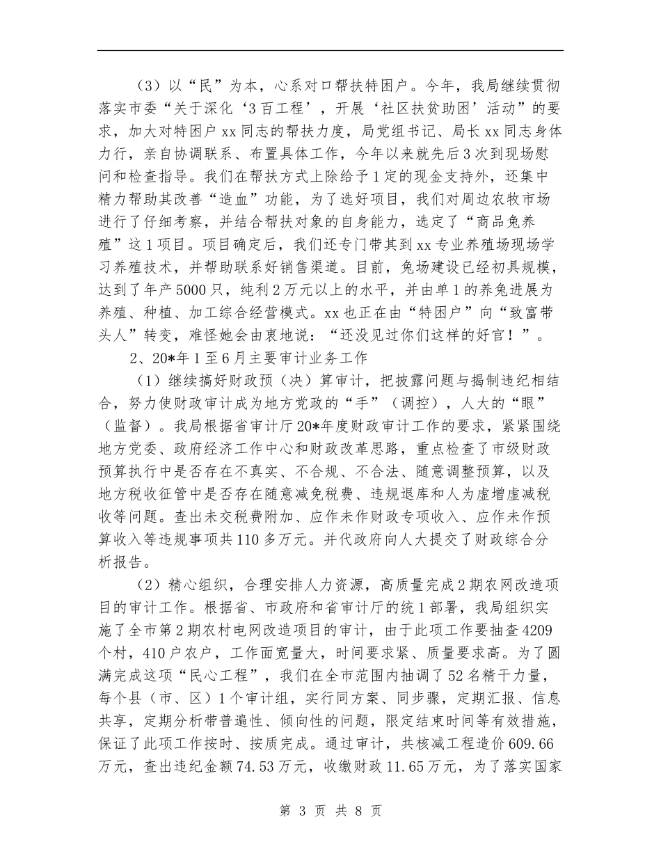 审计局医院上半年工作总结_第3页