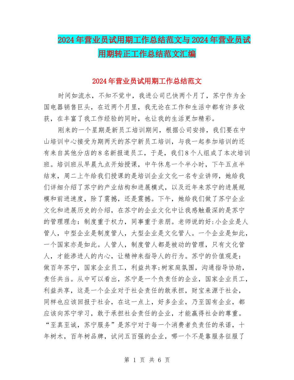 2024年营业员试用期工作总结范文与2024年营业员试用期转正工作总结范文汇编_第1页