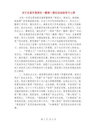关于全面开展两打一整顿一强化运动的学习心得