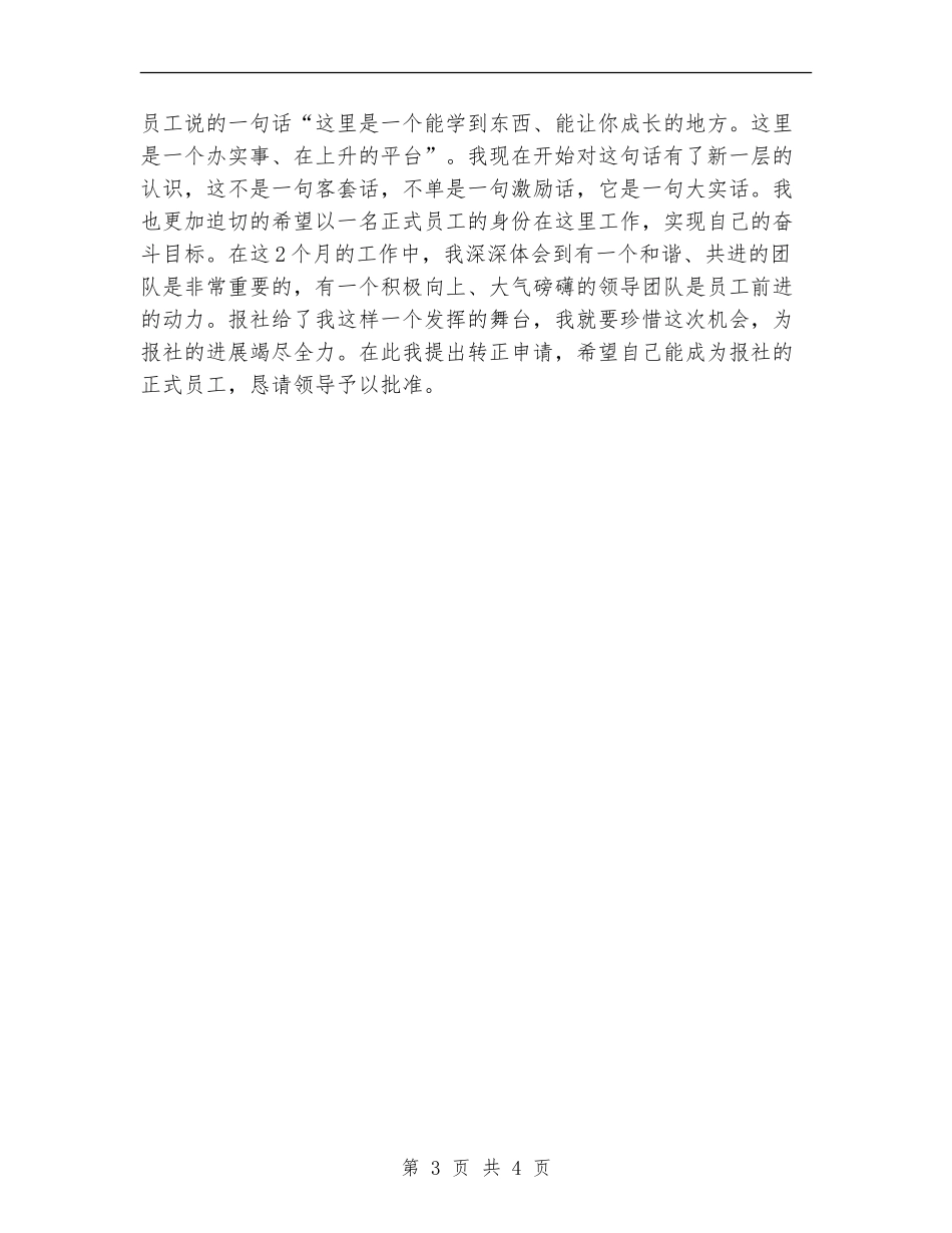 报社转正试用期工作总结_第3页