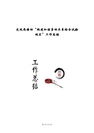 发改局推进“构建和谐劳动关系综合试验城区”工作总结