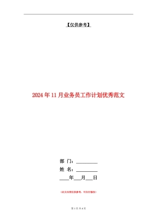 2024年11月业务员工作计划优秀范文