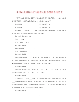 中国农业银行外汇与配套人民币借款合同范文