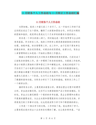 11月财务个人工作总结与11月转正工作总结汇编