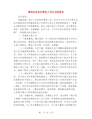 精准扶贫驻村帮扶工作队述职报告