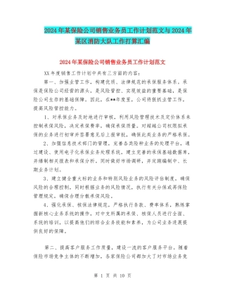 2024年某保险公司销售业务员工作计划范文与2024年某区消防大队工作打算汇编