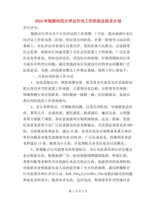 2024年旅游局民主评议行风工作阶段总结及计划