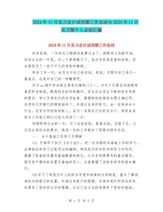 2024年11月见习会计试用期工作总结与2024年11月见习期个人总结汇编