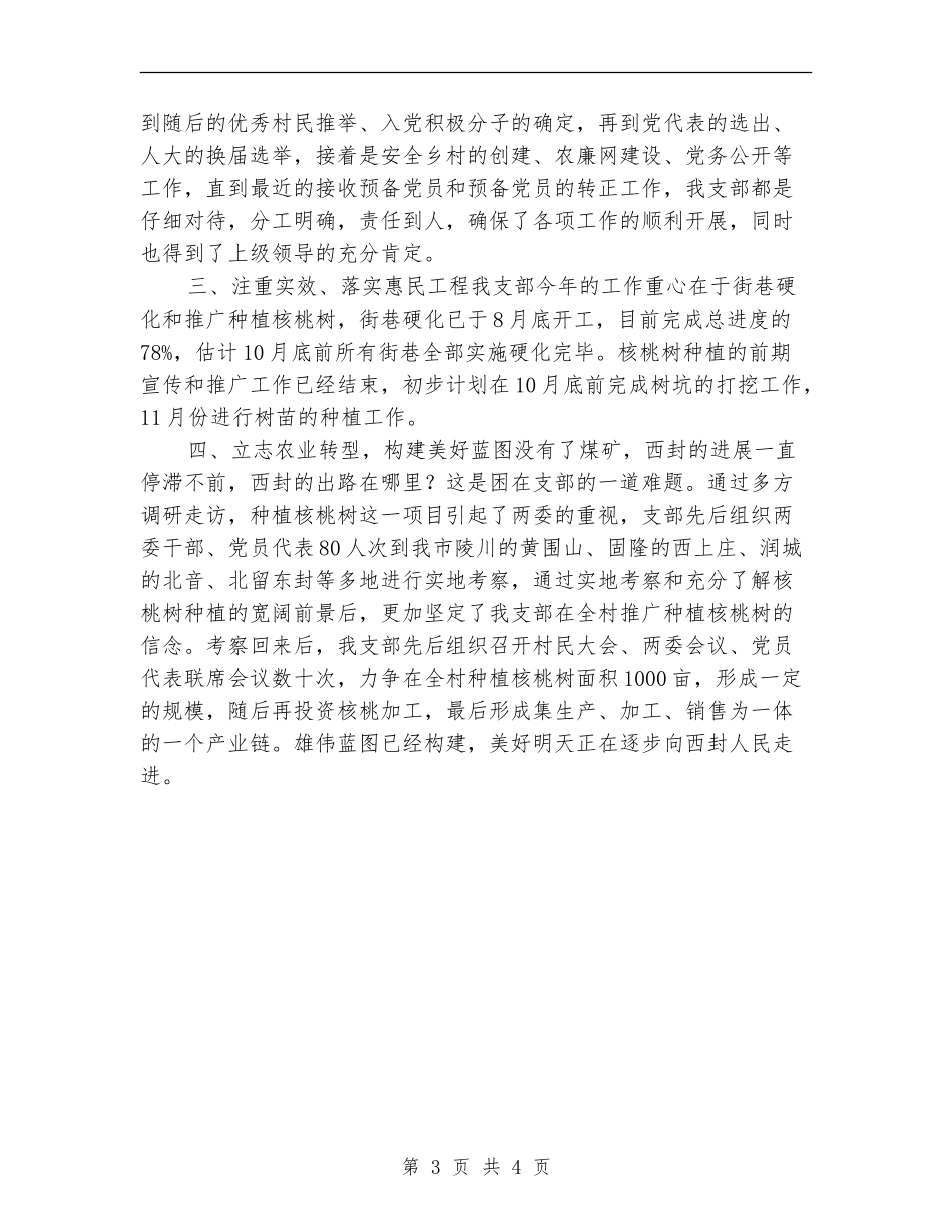 村委年度工作小结报告_第3页